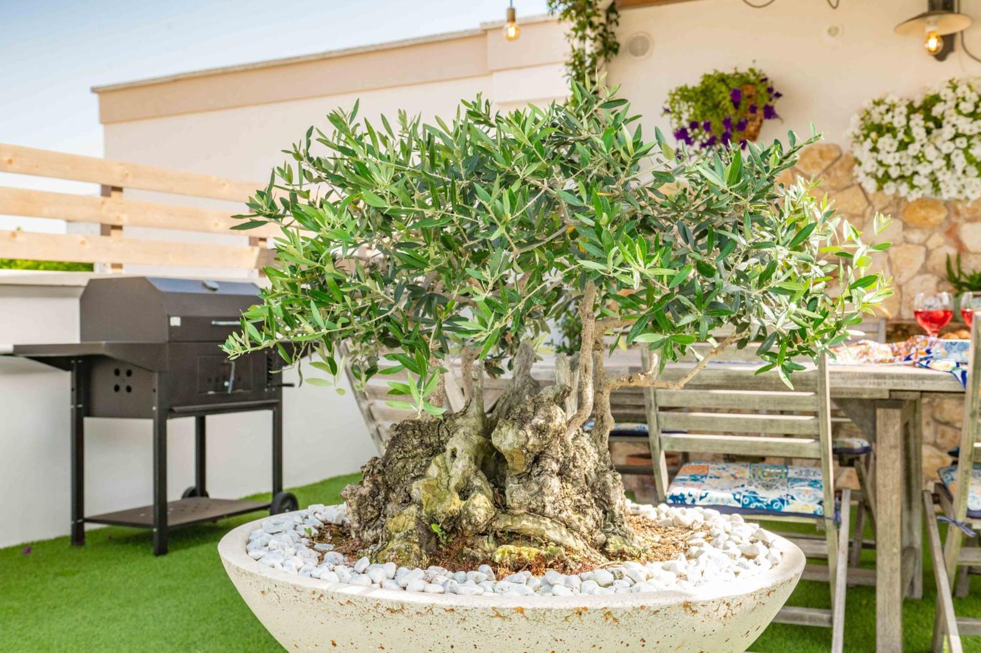Il Panoramico Villa Neviano Luaran gambar
